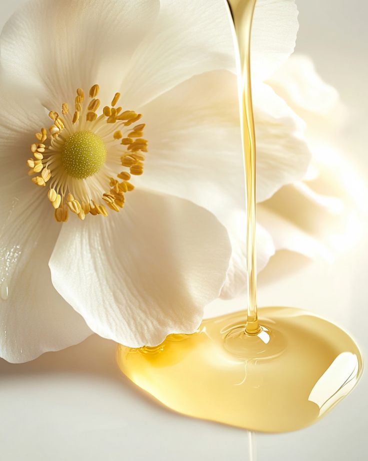 B30408bd5c5a8cf08d2bf823fd107bcc