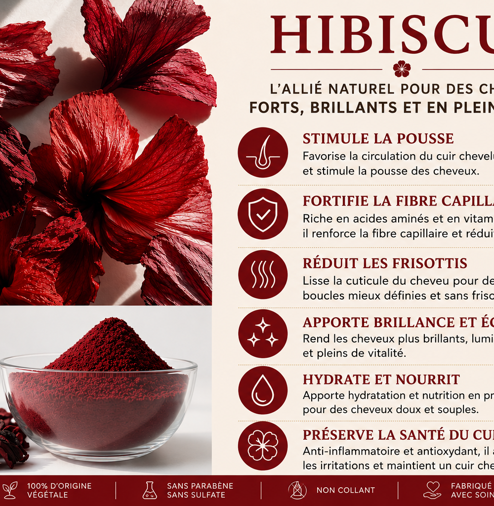Gelée à l'hibiscus définition de Boucles & Hydratante – Agathe Beauty Hair, photo 6