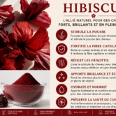 Gelée à l'hibiscus définition de Boucles & Hydratante – Agathe Beauty Hair, photo 6
